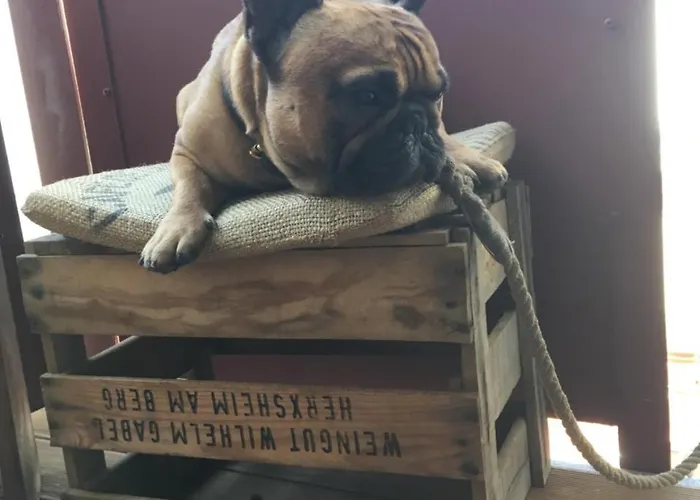 Albergue Seemannsheim Flensburg